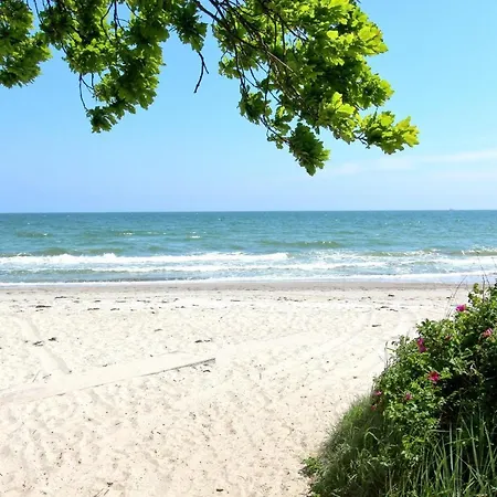 Strandnahe Mit Terrasse, Gratis Nutzung Vom Ahoi Erlebnisbad Und Sauna In Sellin - Rex Rugia 13-4 *