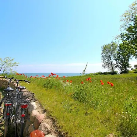 Strandnahe Mit Terrasse, Gratis Nutzung Vom Ahoi Erlebnisbad Und Sauna In Sellin - Rex Rugia 13-4 Апартаменты Лоббе